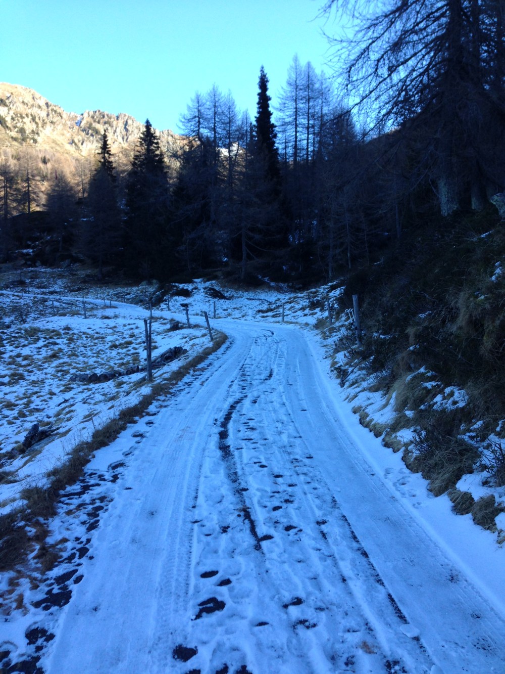 2017-01-03 13.06.43.jpg